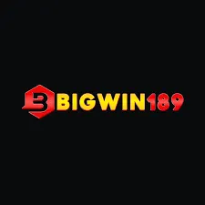 BIGWIN189 - Petualangan Seru dalam Pertarungan Battle Royale